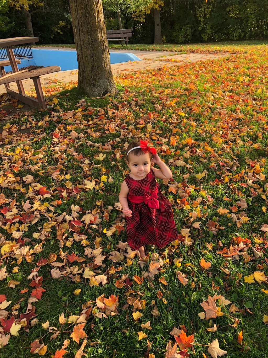 Pauline Vanier Park | Riverside Park South, Ottawa, ON K1V 6N9, Canada