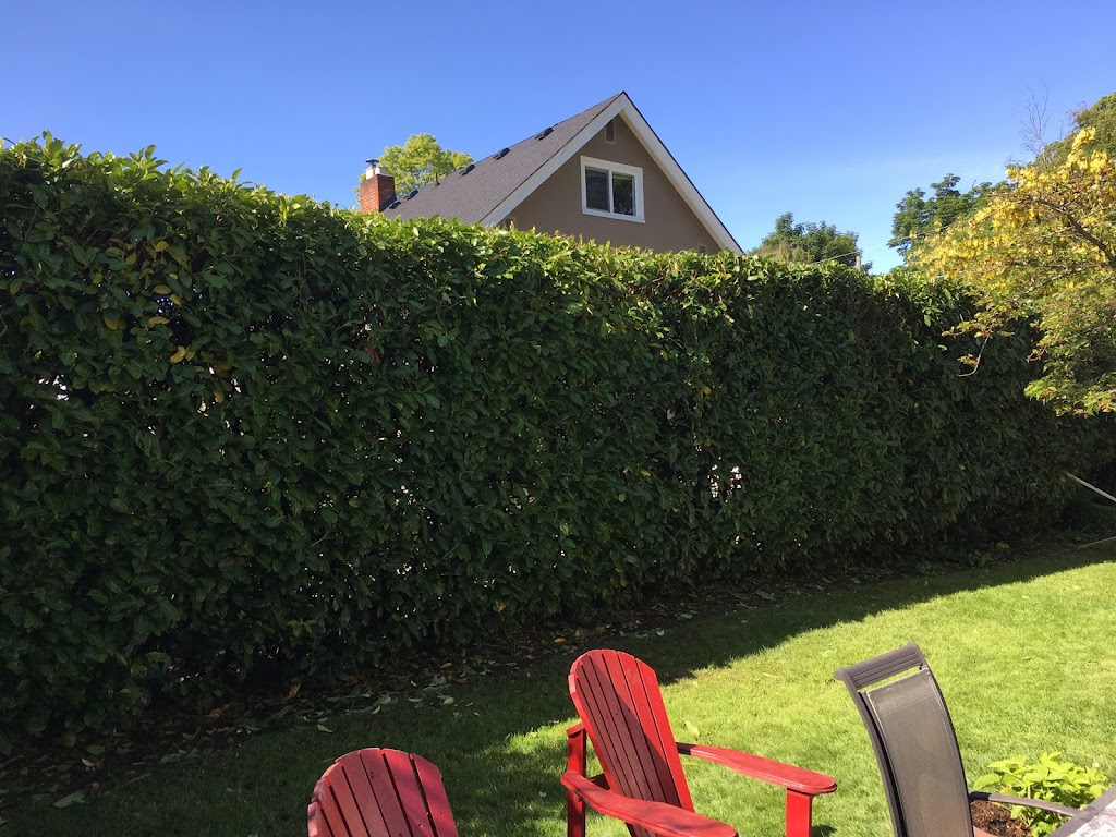 Sandy’s Gardening & Landscaping | 2025 Chaucer St, Victoria, BC V8R 1H6, Canada | Phone: (306) 231-0501