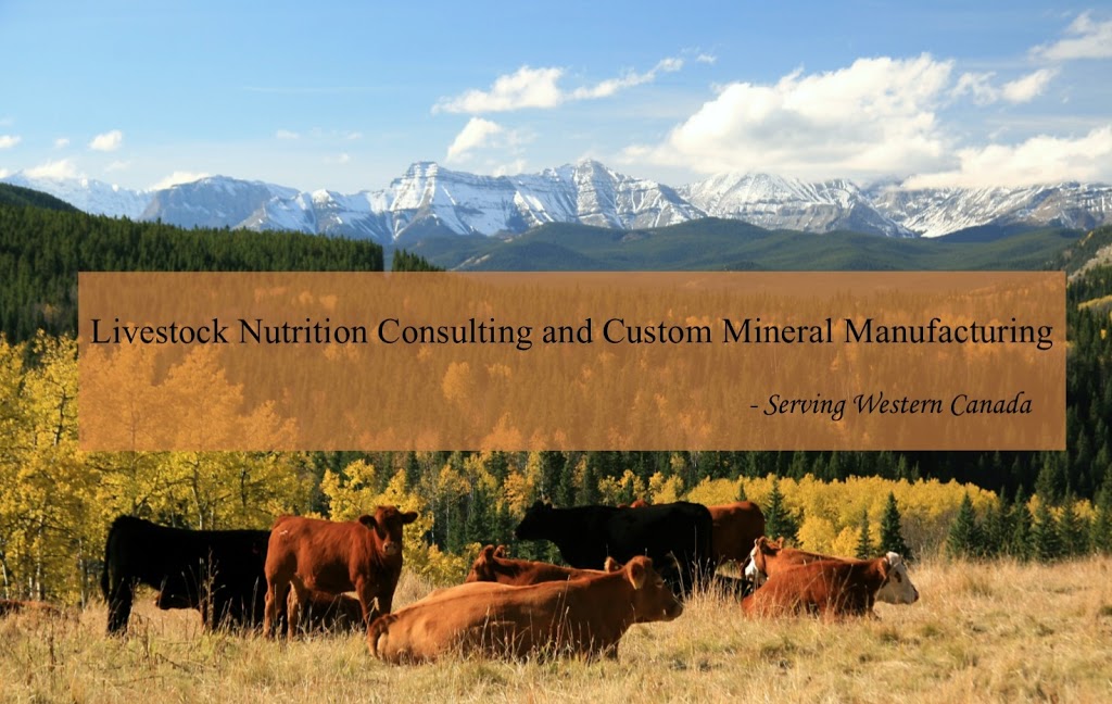Blue Rock Animal Nutrition Ltd. | 3411 52 Ave, Innisfail, AB T4G 1E2, Canada | Phone: (403) 227-2742