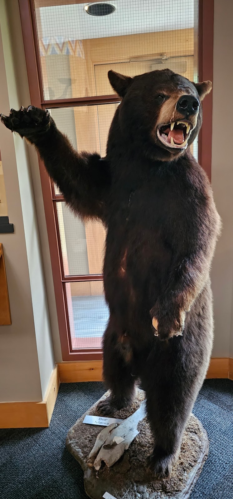 Buffalo Point Museum, Cultural Centre, Tourist Info. | Buffalo Point Rd, Buffalo Point, MB R0A 2W0, Canada | Phone: (204) 437-2777