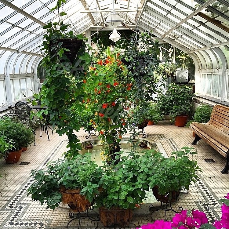 Westmount Conservatory and Greenhouses | 4626 Rue Sherbrooke O, Westmount, QC H3Z 2Z8, Canada | Phone: (514) 989-5230