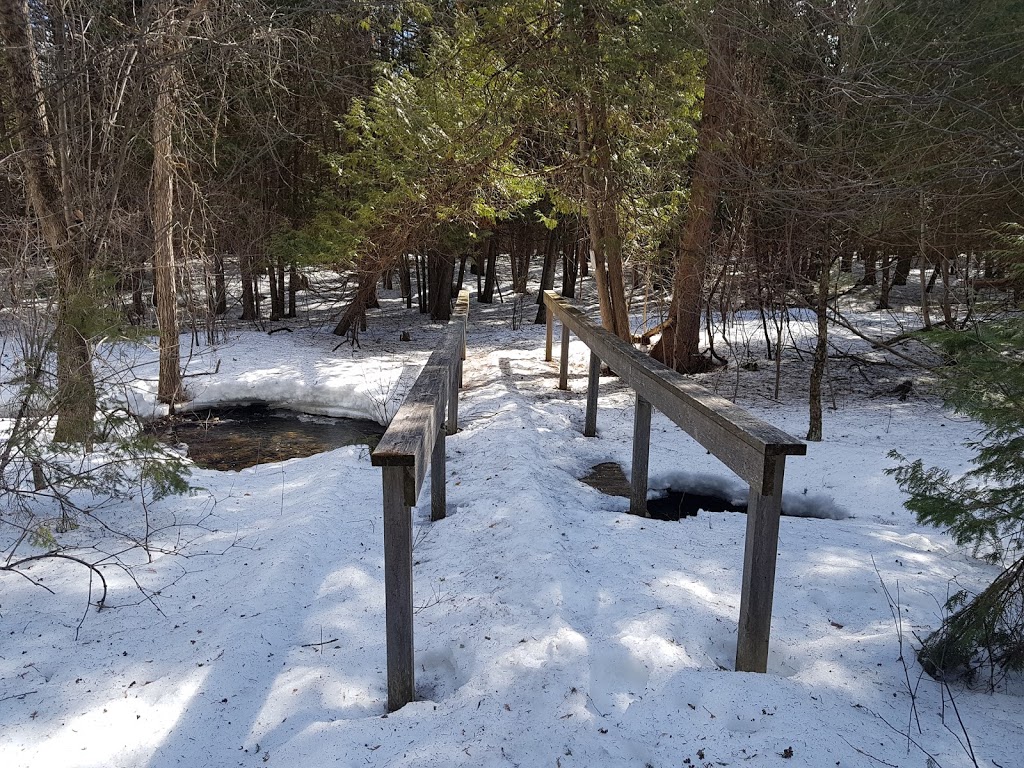 Marlborough Forest | Munster Hamlet - Richmond, Ottawa, ON K0A 2Z0, Canada