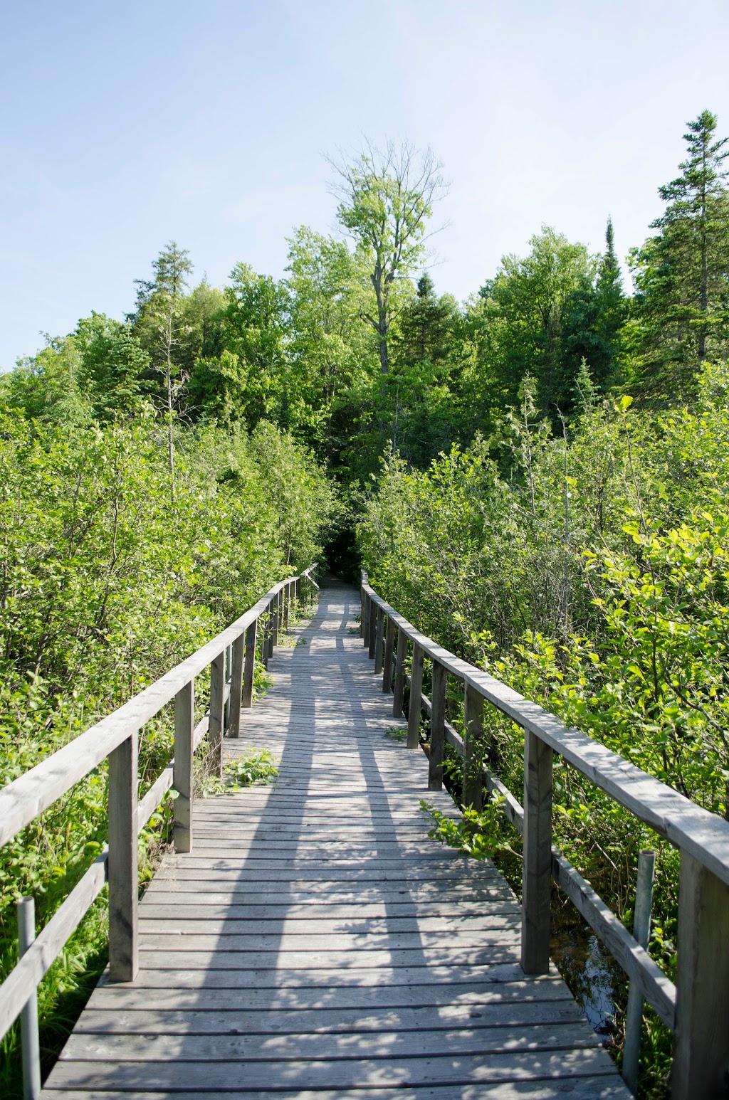 Pigeon River Conservation Area | 445 Gray Road, Kawartha Lakes, ON L0B 1K0, Canada | Phone: (705) 328-2271