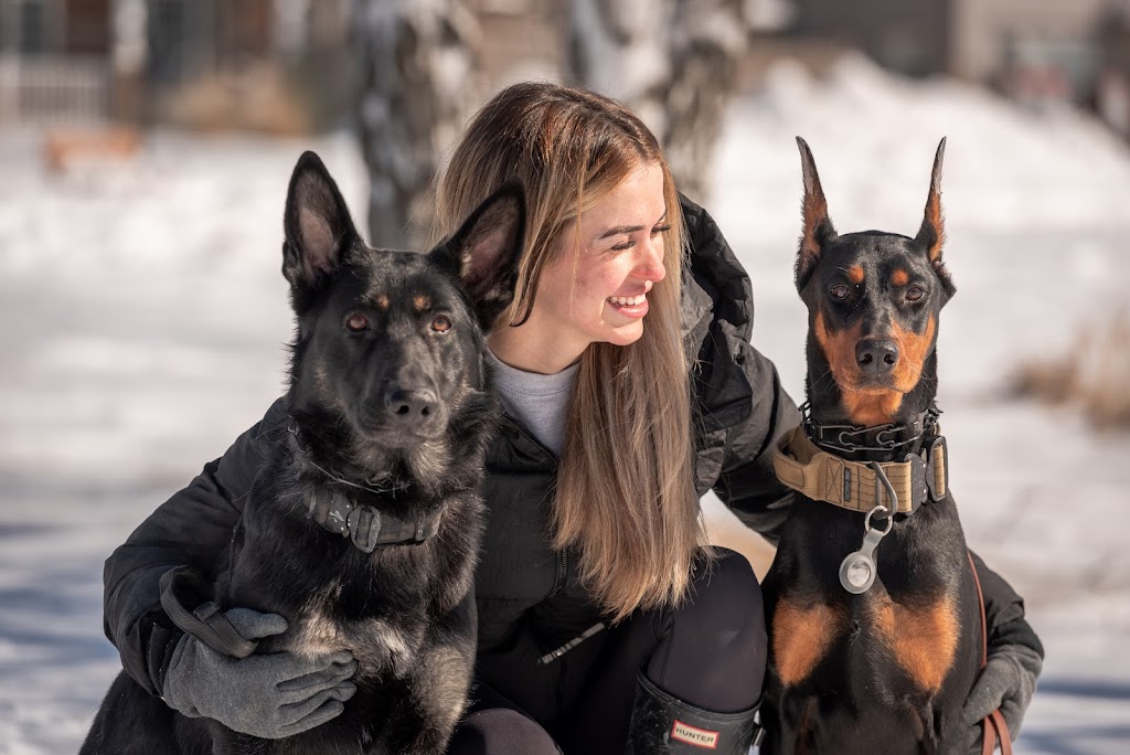 K9 Odyssey Ottawa | 1064 Misty Morning Ln, Greely, ON K4P 1P8, Canada | Phone: (613) 325-2822