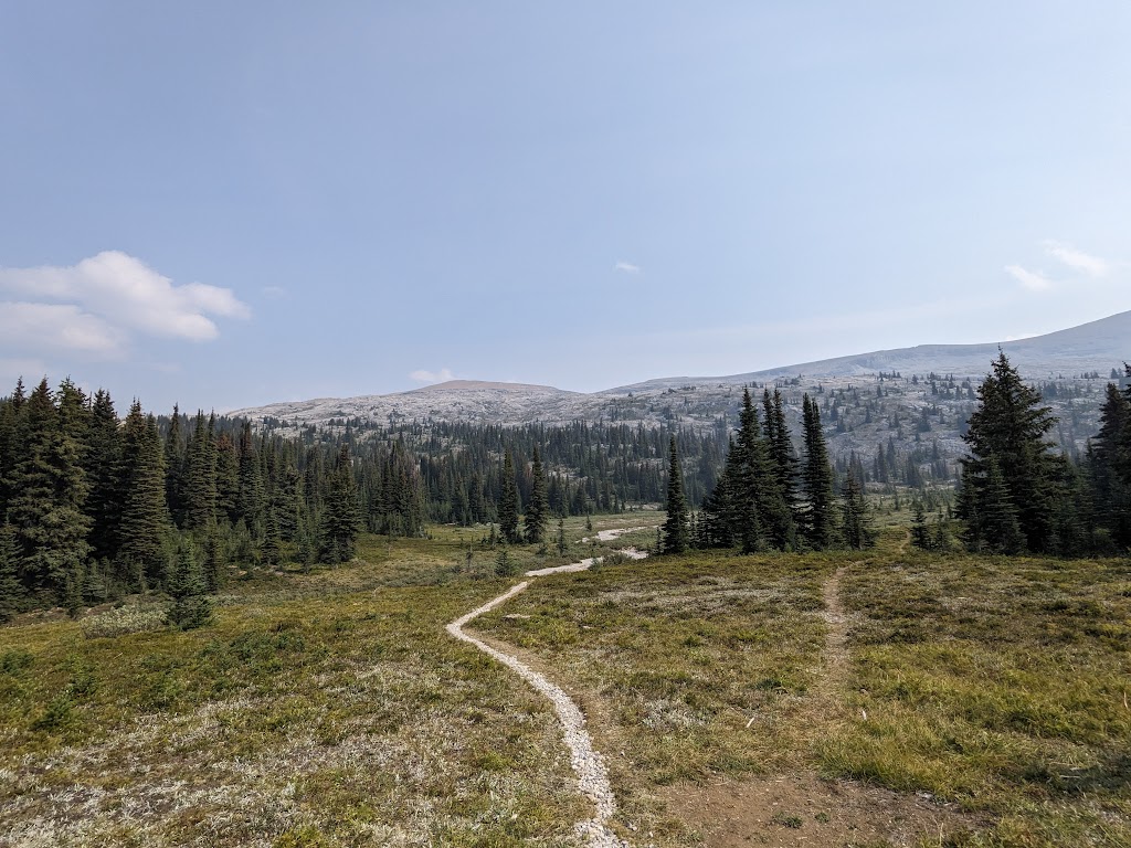 Amiskwi Lodge | Columbia-Shuswap, BC V0A 1H1, Canada | Phone: (913) 912-6942