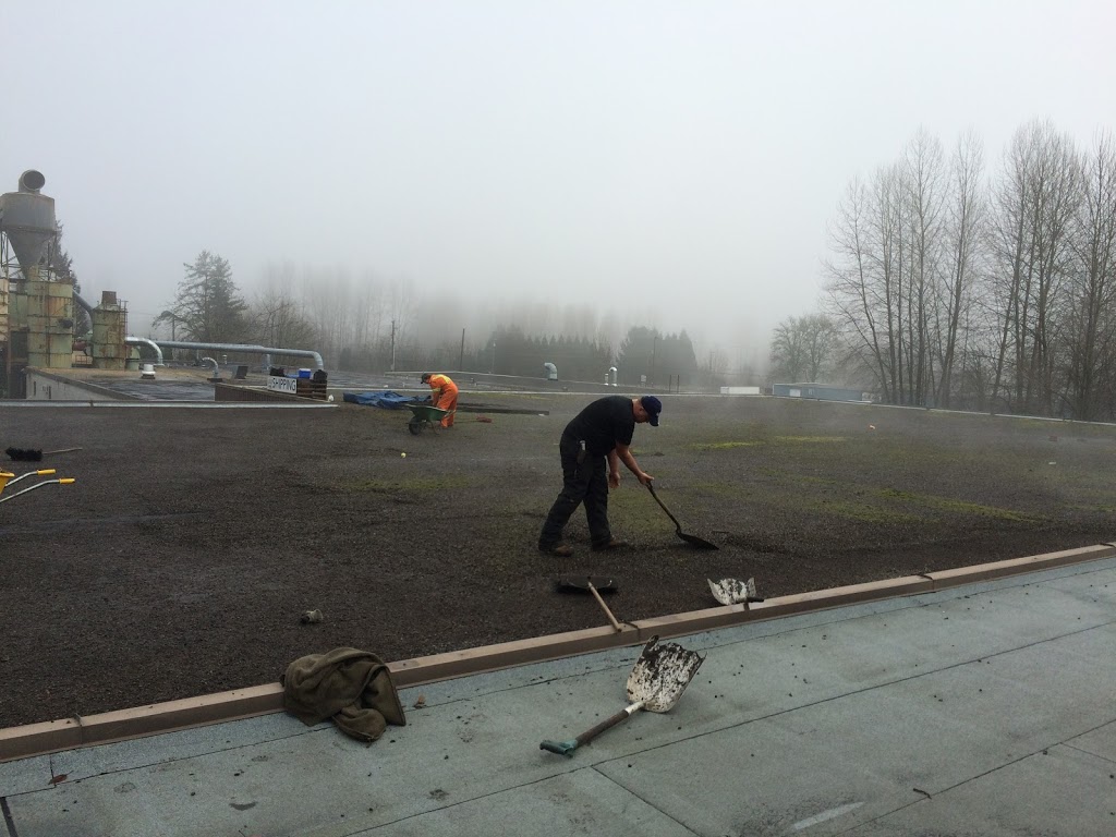 MPG Roofing Ltd. | 34280 Kirkpatrick Ave, Mission, BC V2V 0B4, Canada | Phone: (604) 250-4019