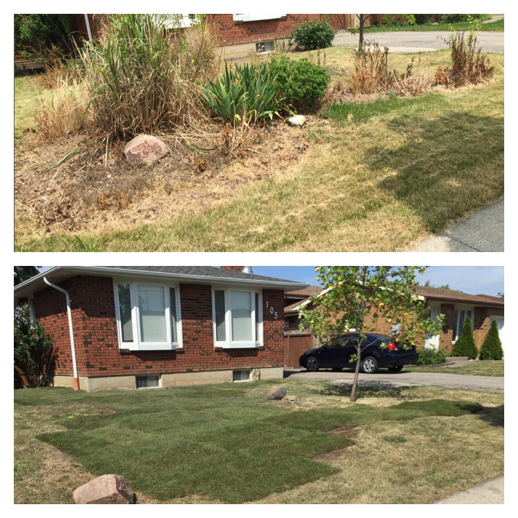 Zone Control "Property Maintenance" | 10 Dunkeld Ave, St. Catharines, ON L2M 4A5, Canada | Phone: (905) 380-3146