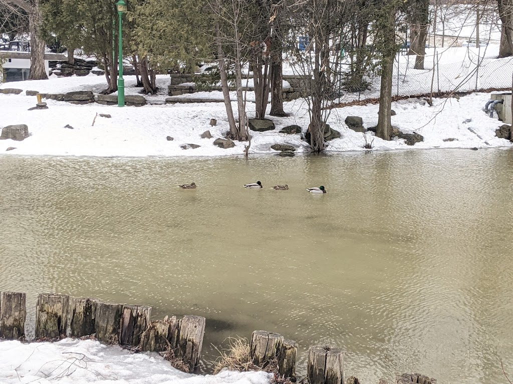 Beaubien Park (Outremont) | Av. Stuart, Montréal, QC H2V 3H1, Canada | Phone: (514) 872-0311