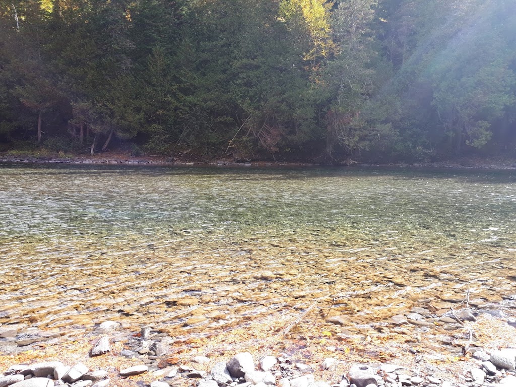 épureau | 309 Bd Bégin, Saint-Pacôme, QC G0L 3X0, Canada | Phone: (418) 551-3756