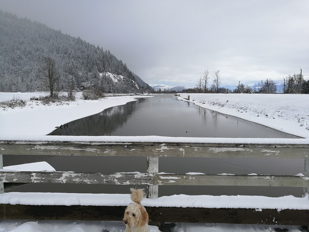 MacKay Creek Trail | 4010-4102 Lakemount Rd, Abbotsford, BC V3G 2J1, Canada