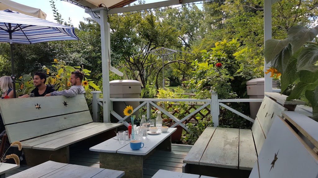 Island Cafe | 20 Withrow St, Toronto, ON M5J 2C4, Canada | Phone: (416) 203-6460