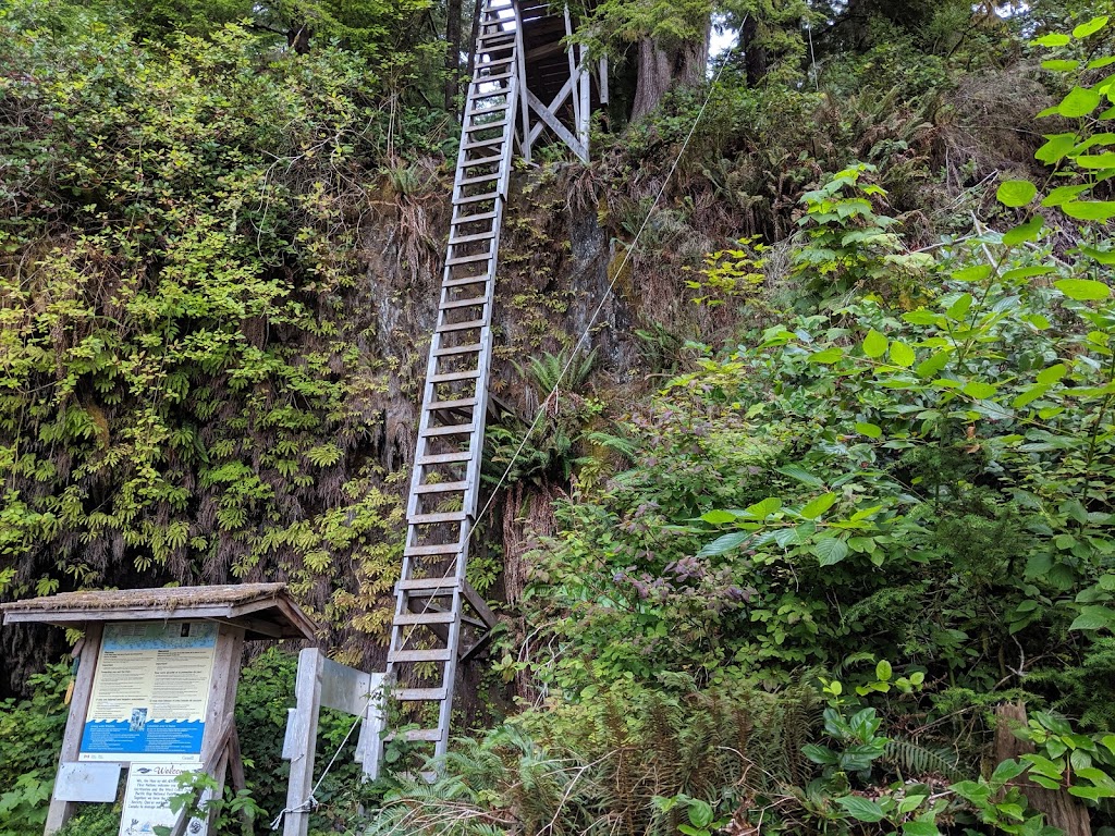 Coastal Bliss Adventures Ltd. | 4865 Bench Rd, Cowichan Bay, BC V0R 1N1, Canada | Phone: (800) 896-9525