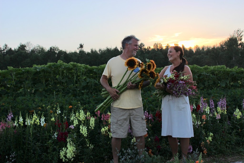 Two Birds One Stone Farm (Flower Farm) | 3442 NS-359, Centreville, NS B0P 1J0, Canada | Phone: (902) 385-8818