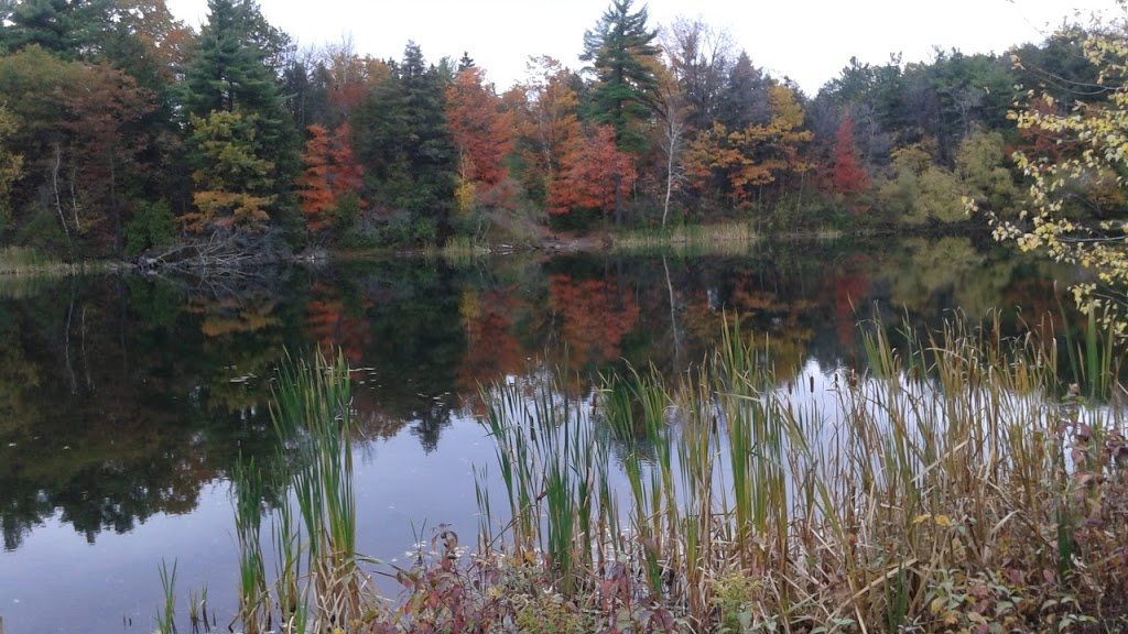 Bond Lake | 12691 Yonge St, Richmond Hill, ON L4E 0K8, Canada