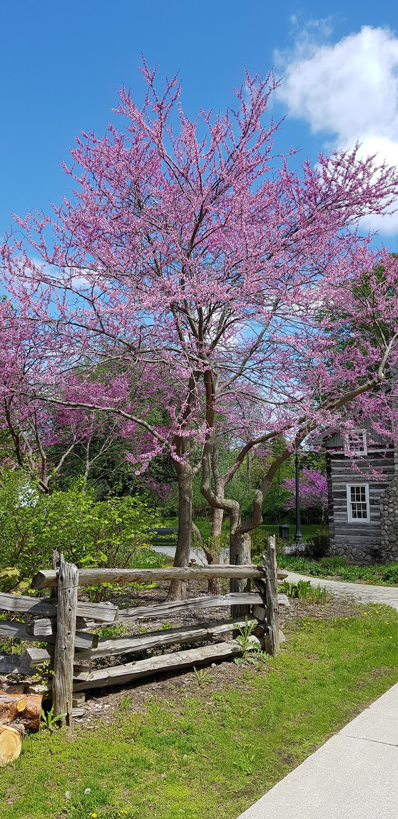 Meadow Wood Park | Mississauga, ON L5J 4T2, Canada