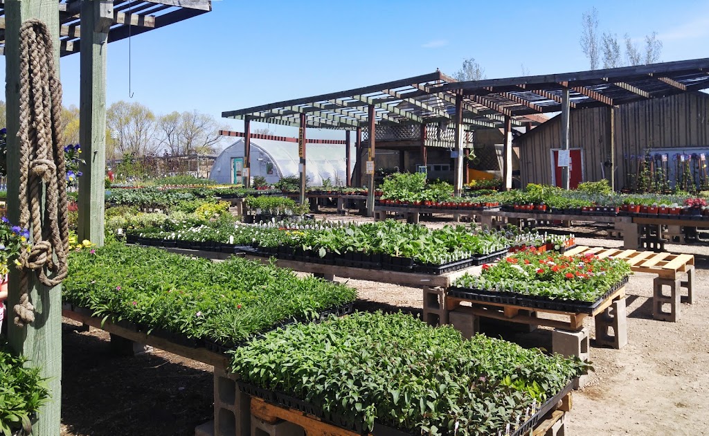 New Leaf Garden Center | point of interest | 1-875 Boundary Trail, Winkler, MB R6W 0L7, Canada | 2043258132 OR +1 204-325-8132