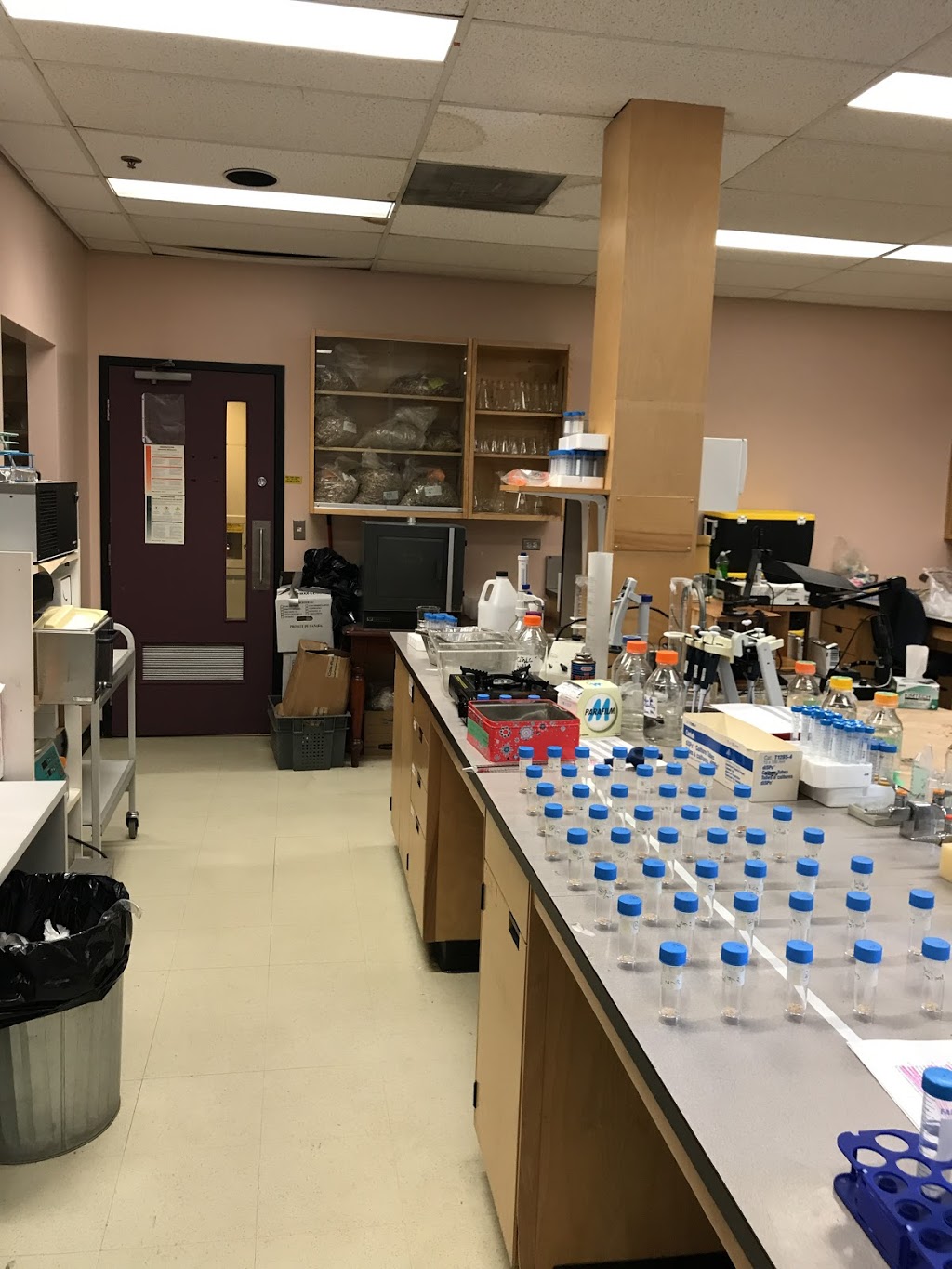 Institut de recherche en biologie végétale de lUniversité de Mo | 4101 Rue Sherbrooke E, Montréal, QC H1X 2B2, Canada | Phone: (514) 343-2121