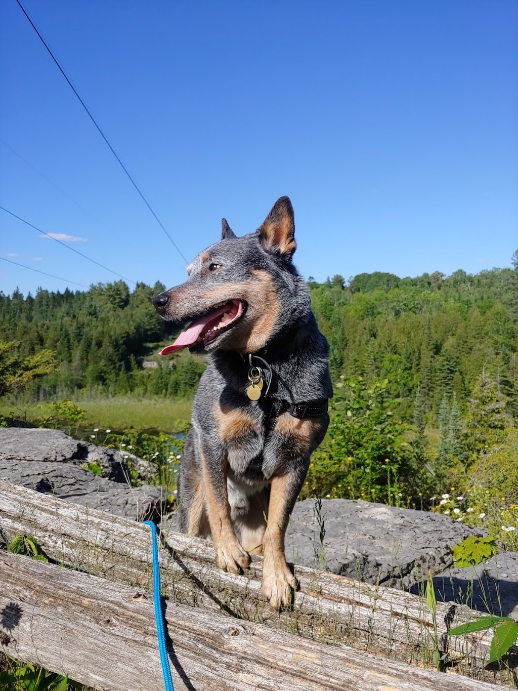 Warsaw Caves Conservation Area and Campground | 289 Caves Rd, Warsaw, ON K0L 3A0, Canada | Phone: (705) 652-3161