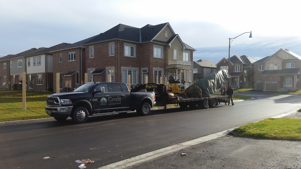 Cerelli Tree Farm North | 14005 Guelph Line, Campbellville, ON L0P 1B0, Canada | Phone: (905) 299-9677