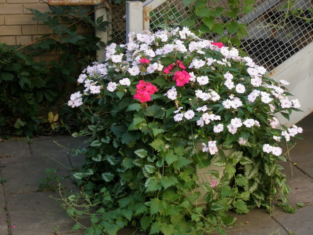 Rainbow Mill Gardens | Mill Rd, Anola, MB R0E 0A0, Canada | Phone: (204) 866-3000