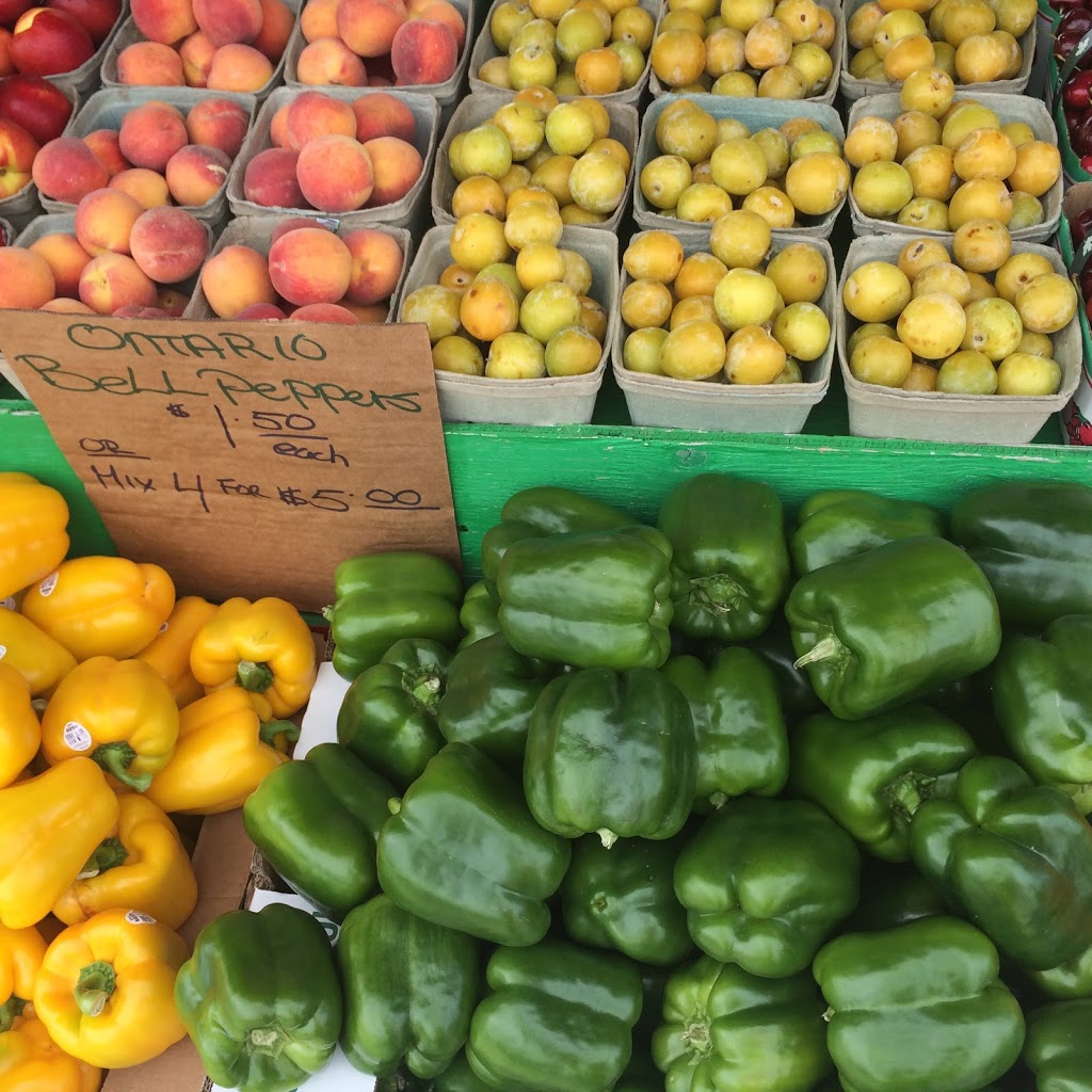 Elmvale Flea And Farmers Market | 1568 County Rd 92, Elmvale, ON L0L 1P0, Canada | Phone: (705) 322-1633