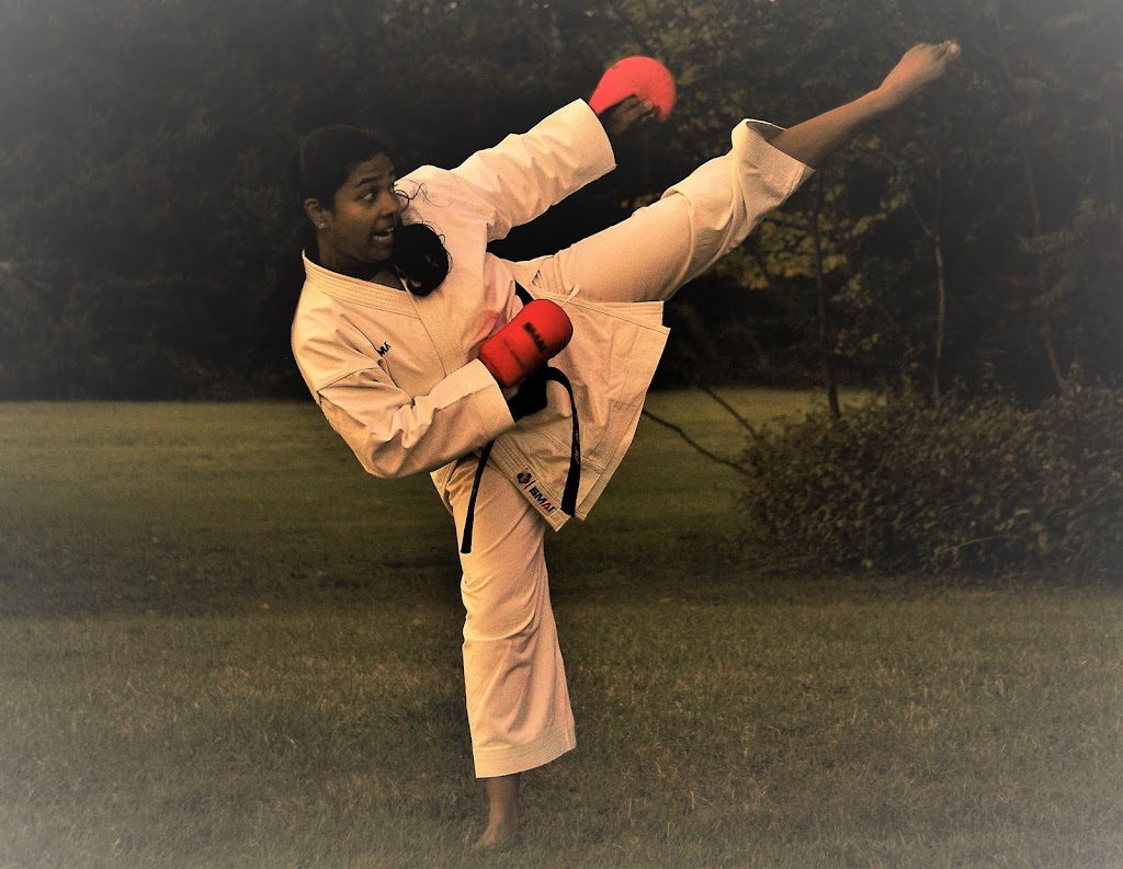 Arun Martial Arts | 6415 Erin Mills Pkwy, Mississauga, ON L5N 4H4, Canada | Phone: (437) 777-2241