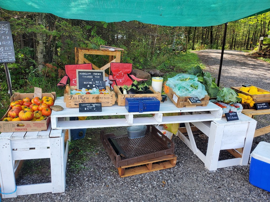 Harcliff Farms North | 2904 Peterborough County Rd 36, Buckhorn, ON K0L 1J0, Canada | Phone: (519) 996-3331