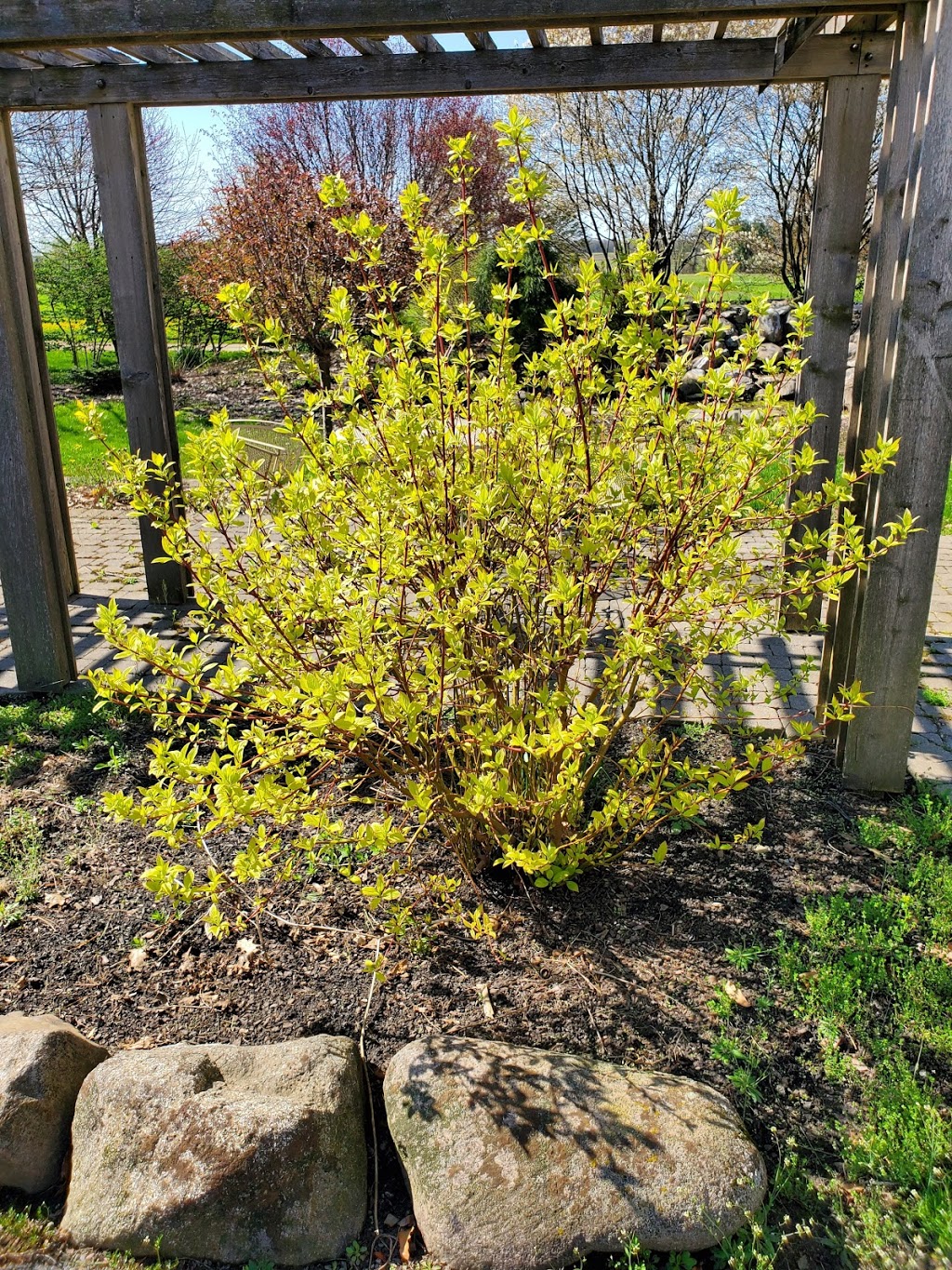 Turnbull Nursery Inc & Garden Center | 10036 Versailles Plank Rd, North Collins, NY 14111, USA | Phone: (716) 337-2248