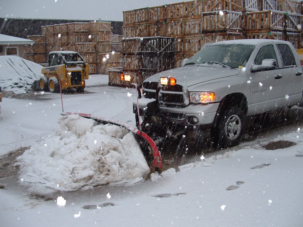 South Coast Group Inc. | 111 Sherwood Dr #7, Brantford, ON N3T 6J9, Canada | Phone: (226) 444-9908