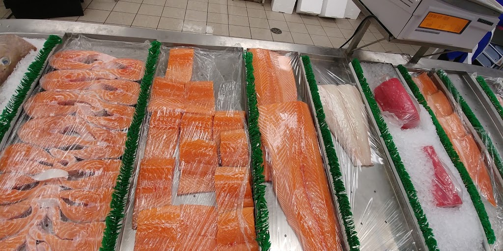Peters No Frills | 222 Lansdowne Ave, Toronto, ON M6K 3C6, Canada | Phone: (866) 987-6453