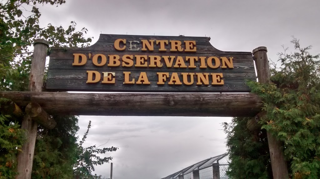 Ferme Couture M & J-C Inc | 969 Chemin de Stratford, Stratford, QC G0Y 1P0, Canada | Phone: (418) 443-2383