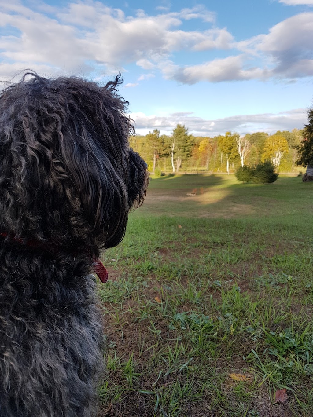 Madawaska Valley Retreat | 1661 Lower Craigmont Rd, Combermere, ON K0J 1L0, Canada | Phone: (416) 986-3429