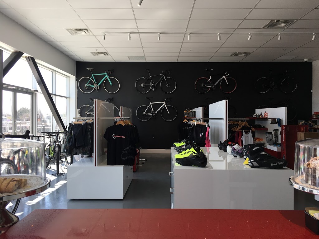 Potenza Cycle & Fitness | 9600 Islington Avenue Unit E2A, Woodbridge, ON L4H 2T1, Canada | Phone: (905) 553-3000
