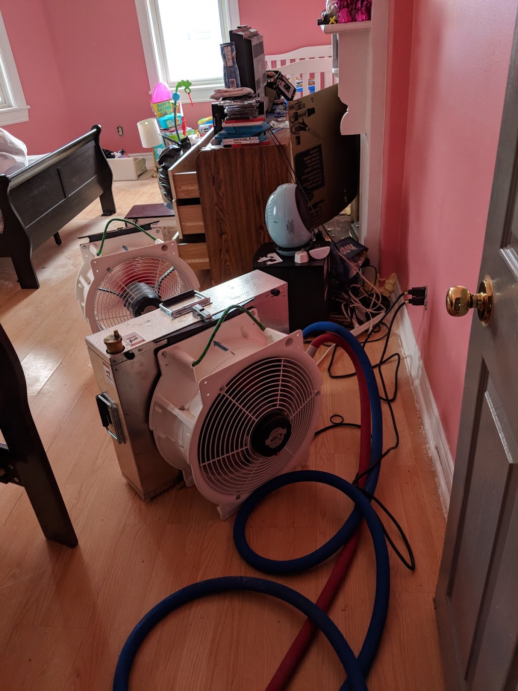 Green Heat Bed Bug Exterminator | 1411 Hidden Valley Rd, Burlington, ON L7P 0T5, Canada | Phone: (289) 828-2298