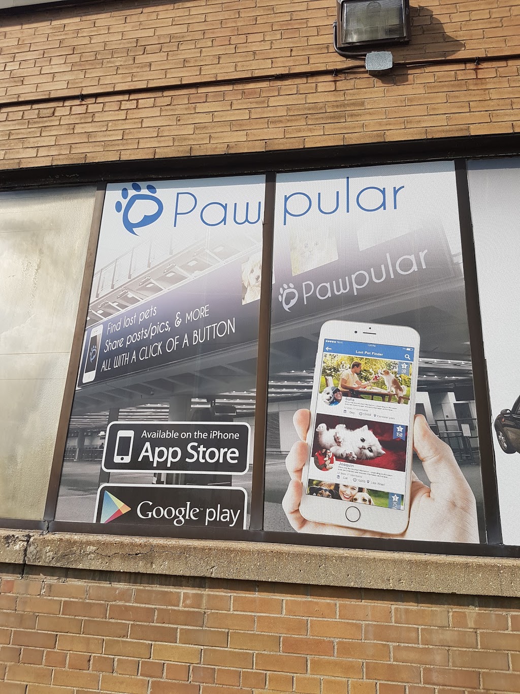 Pawpular | 30 Dohme Ave, East York, ON M4B 1Y9, Canada | Phone: (647) 702-4043