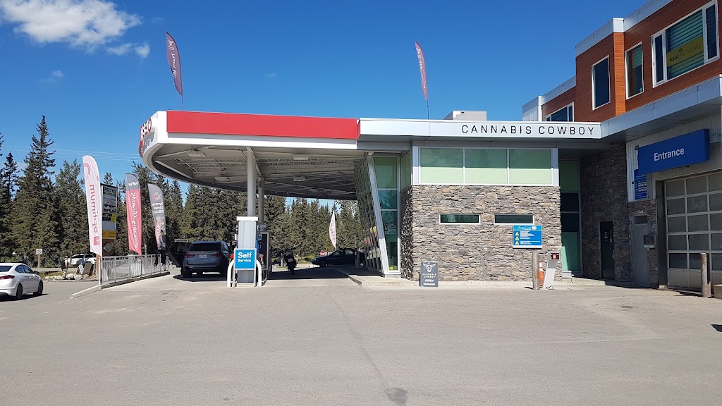 Cannabis Cowboy - Bragg Creek | Upstairs above Esso, 7 Balsam Ave Unit 120, Bragg Creek, AB T0L 0K0, Canada | Phone: (403) 949-4187