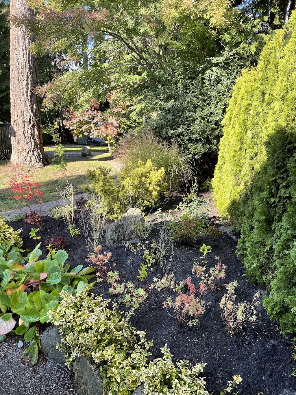 Yorkshire Rose Gardens | 6387 Piper Pl, Sechelt, BC V7Z 0L1, Canada | Phone: (604) 440-3141