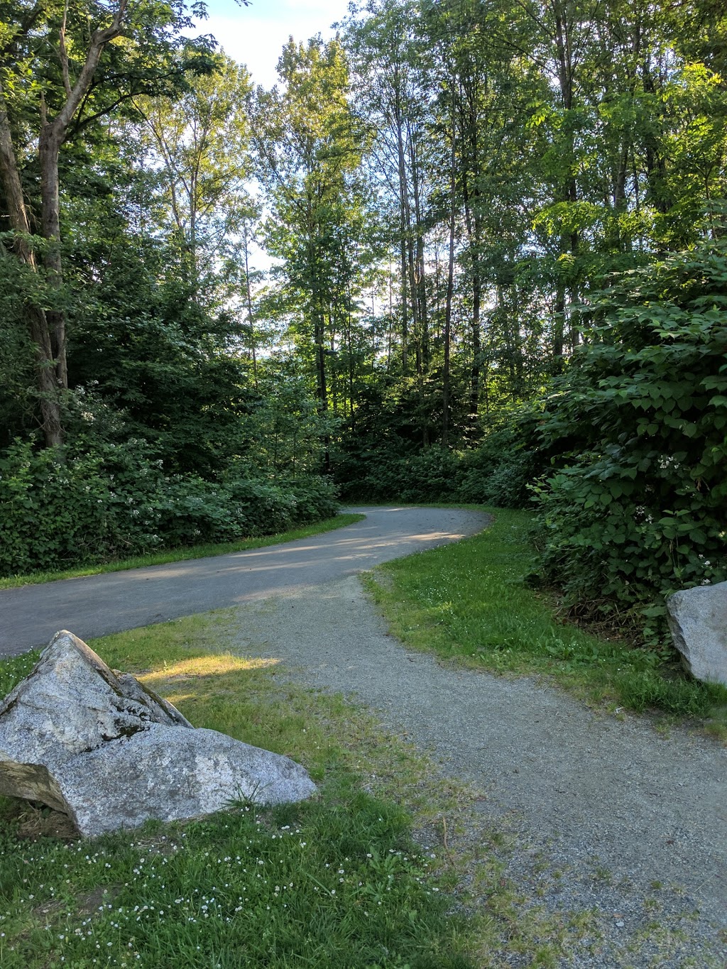 lubbocks woods park | 7803 Burris St, Burnaby, BC V5E 3M9, Canada