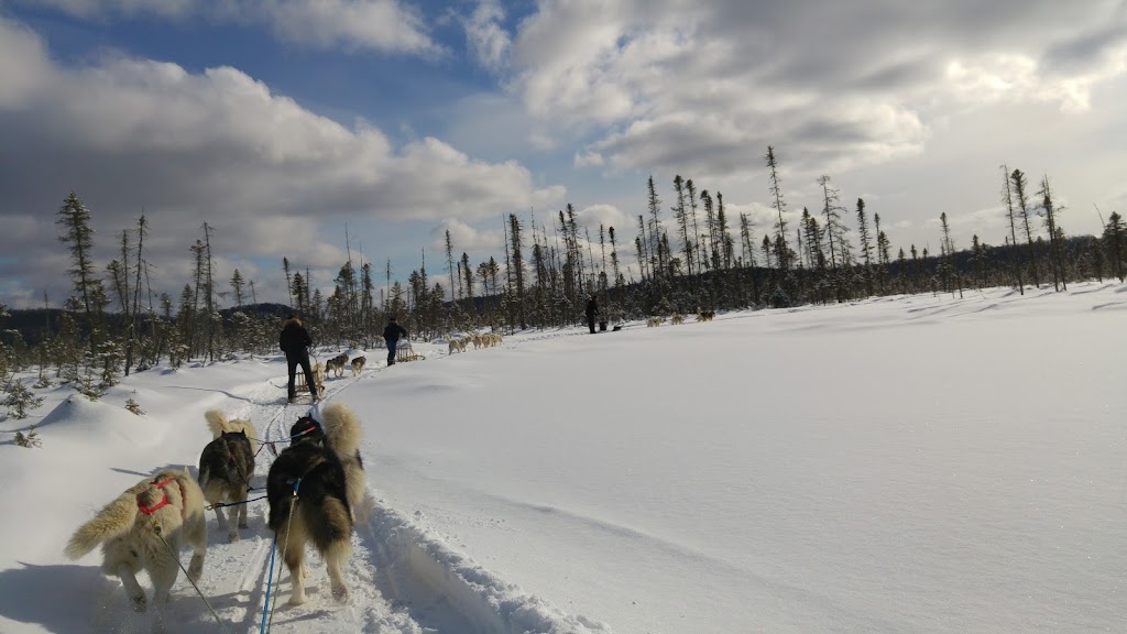 Siberlou | 749 Mnt de la Mer Bleue, LAscension, QC J0T 1W0, Canada | Phone: (819) 275-3957