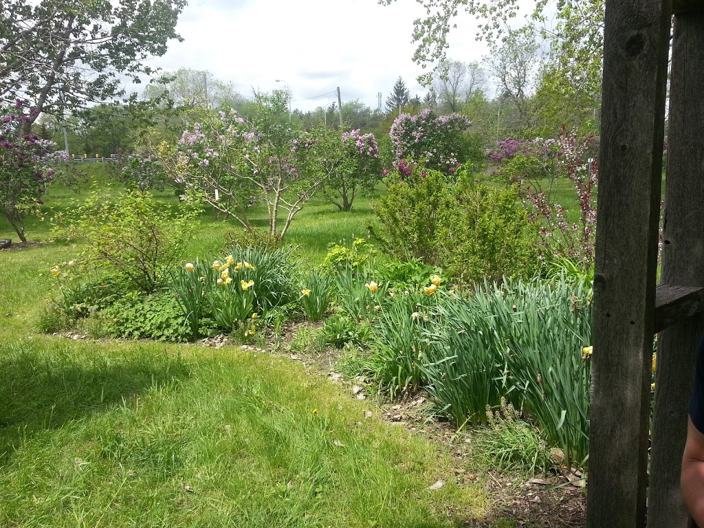 Lilac Gardens of Lindsay | 283-319 Logie St, Lindsay, ON K9V 4R5, Canada | Phone: (705) 878-1810