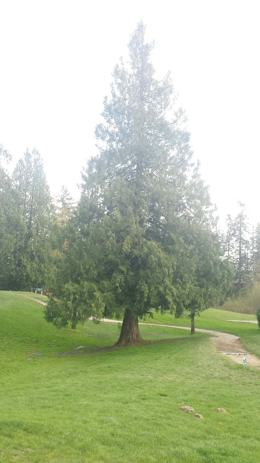 Belmont Golf Course | 22555 Telegraph Trail, Langley City, BC V1M 3S3, Canada | Phone: (604) 888-9898