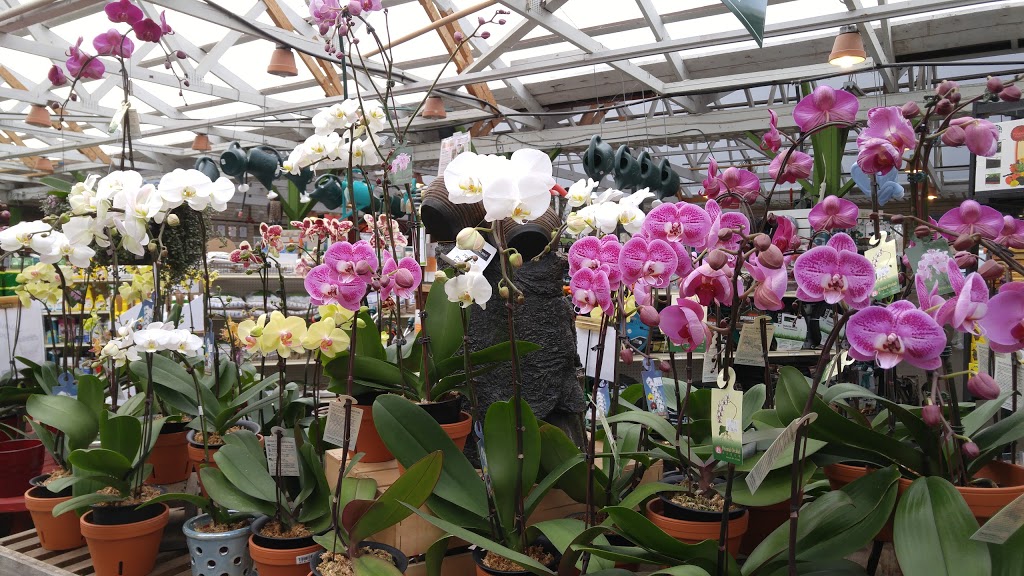 GardenWorks at Mandeville | 4746 Marine Dr, Burnaby, BC V5J 3G6, Canada | Phone: (604) 434-4111