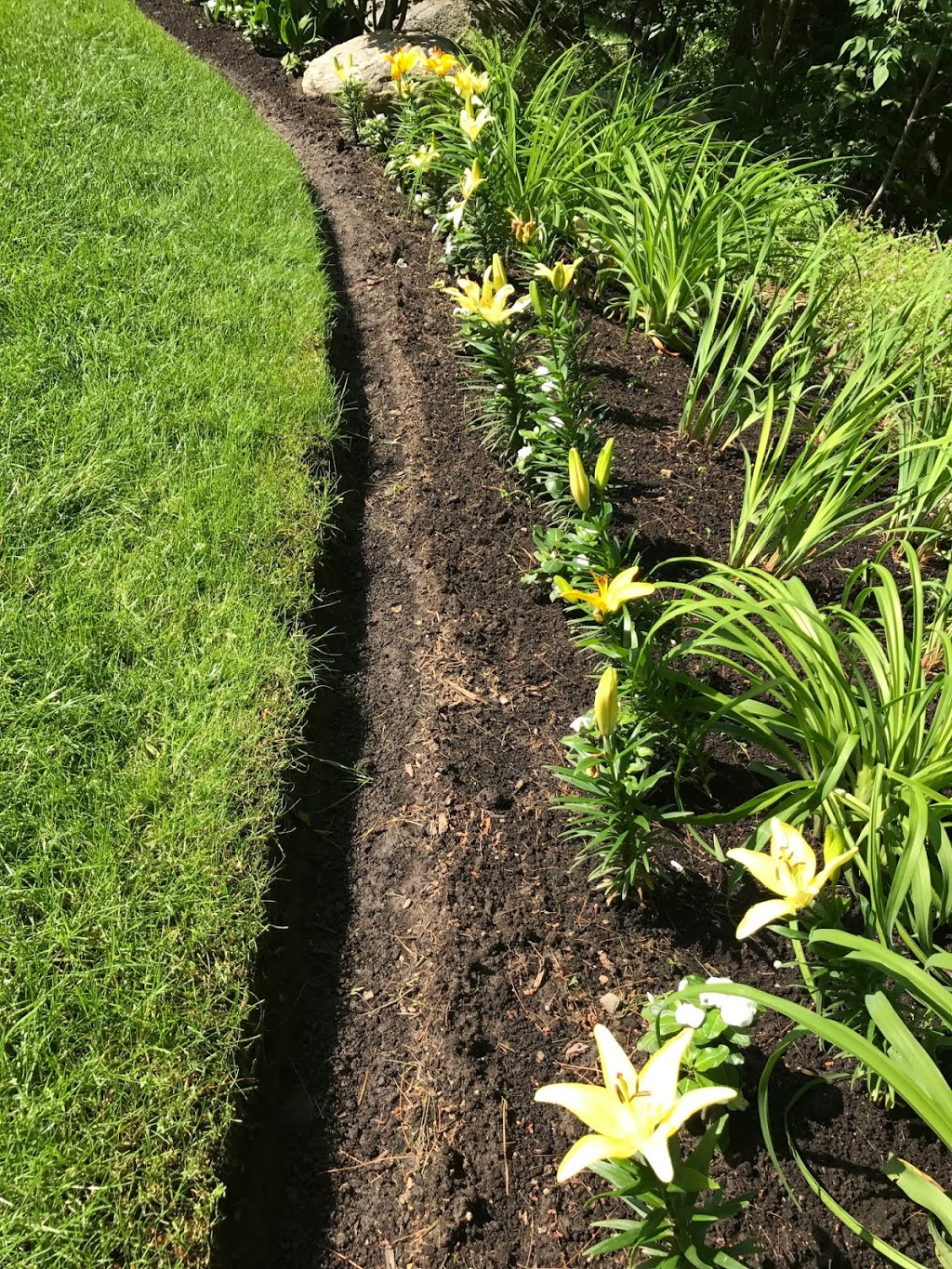 Cold Creek Landscaping & Maintenance | 18250 Duffys Ln, Palgrave, ON L7E 3C4, Canada | Phone: (905) 880-4118