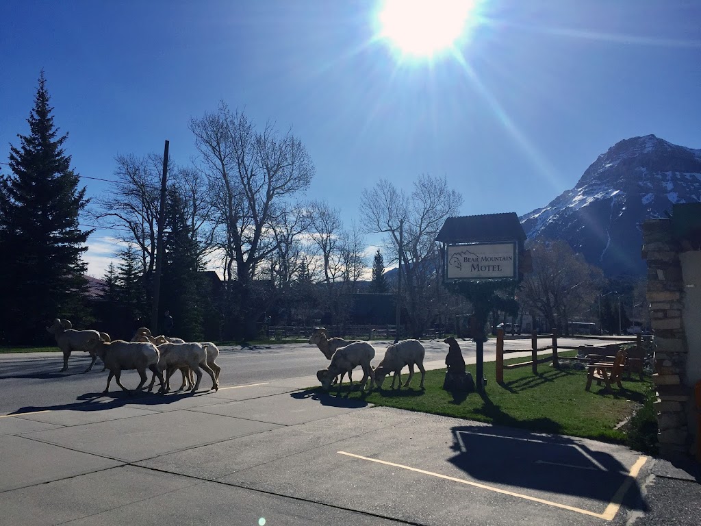 Bear Mountain Motel | 208 Mt View Rd, Waterton Park, AB T0K 2M0, Canada | Phone: (403) 859-2366
