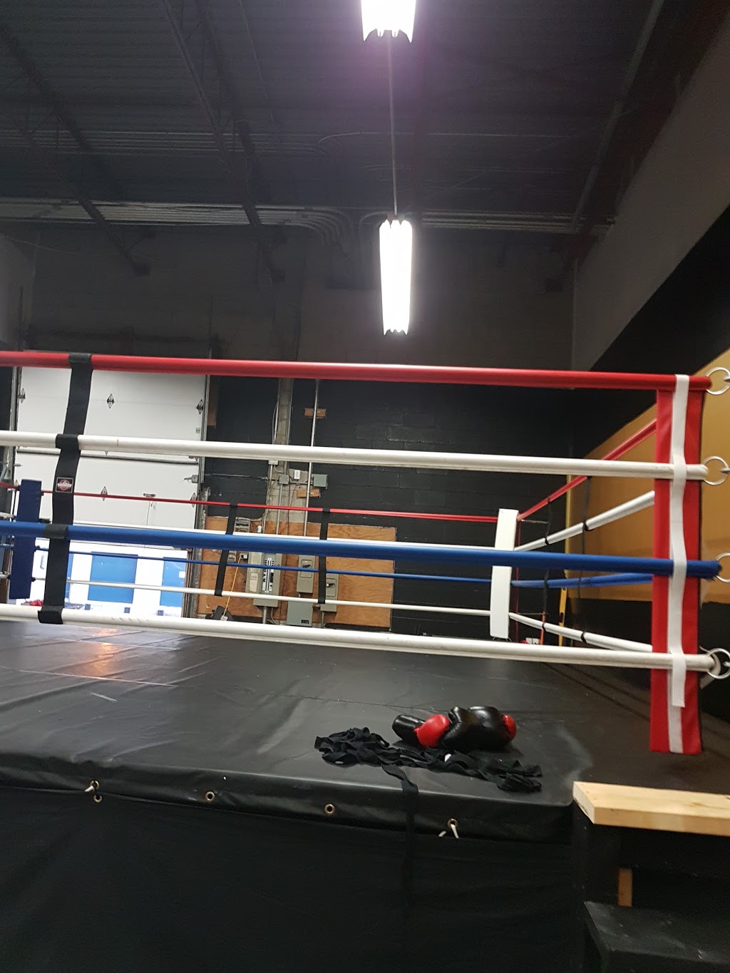 Scarborough Triumph Muay Thai | 760 Birchmount Rd Unit 38, Scarborough, ON M1K 1R7, Canada | Phone: (416) 751-2244
