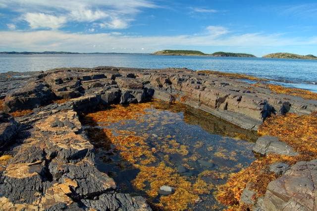 Newfoundland Photography | 18 Talon Ct, Truro, NS B2N 7B4, Canada | Phone: (902) 229-7435