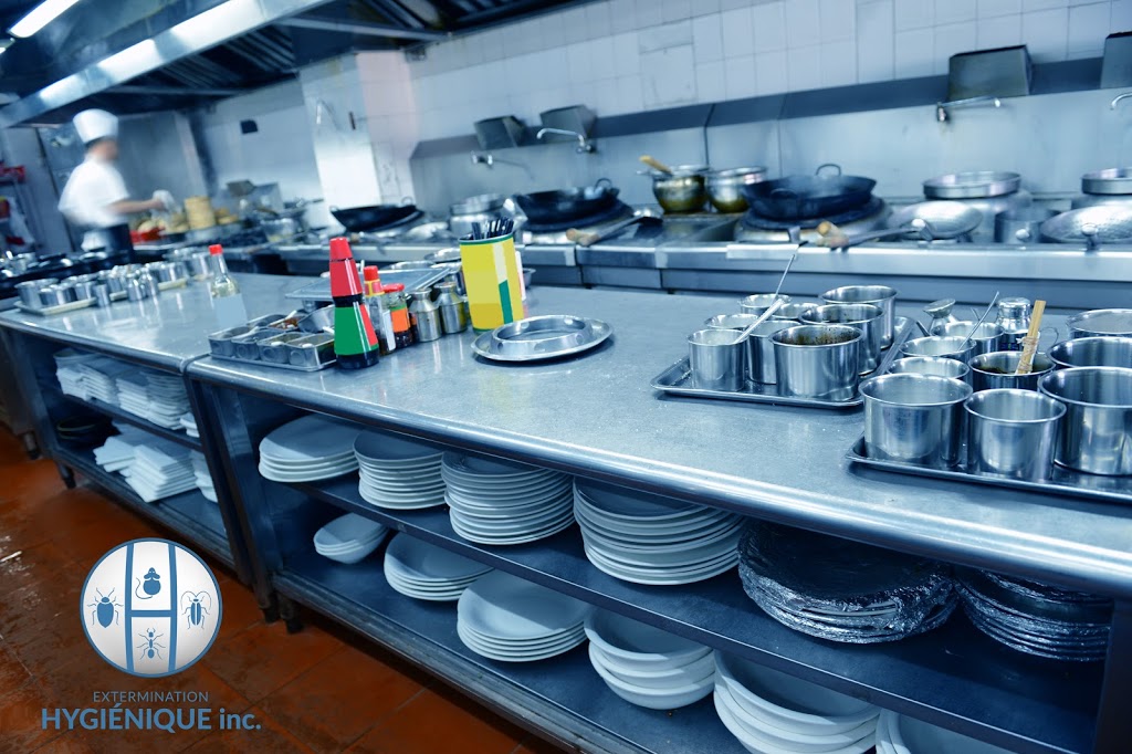 Extermination Hygiénique inc | 3472 Rue Jean Talon, Mascouche, QC J7K 1L9, Canada | Phone: (514) 267-0260