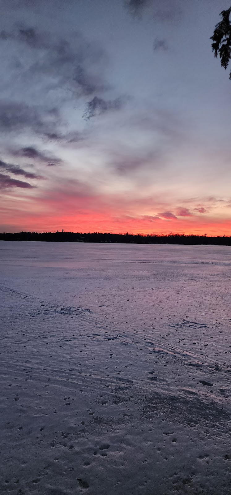 Life Is Better At Lake | 201 Red Cedar Point Rd, Yarker, ON K0K 3N0, Canada | Phone: (647) 335-0653