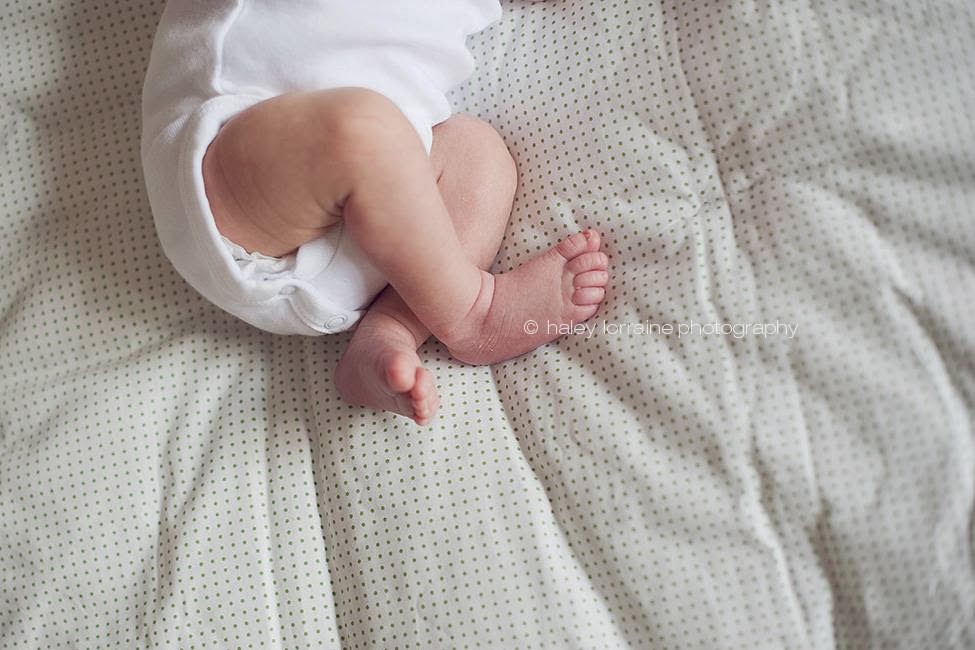 Haley Lorraine Photography | 1037 Pia Rd, Garibaldi Highlands, BC V0N 1T0, Canada | Phone: (604) 626-5916
