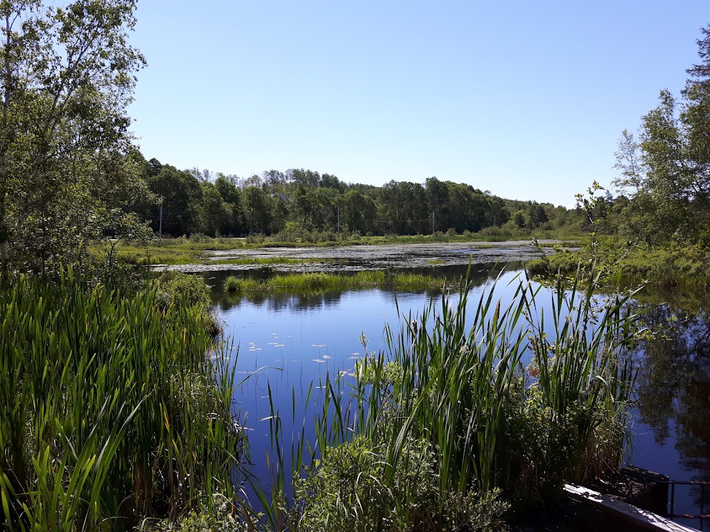 Hants West Wildlife Assn | 596 Bog Rd, Hantsport, NS B0P 1P0, Canada | Phone: (902) 798-3684